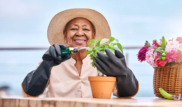 Agriculture, senior and black woman with plant in garden and happiness outdoor in nature for spring, flowers and growth. Smile, person and leaves in backyard of home for vegetable care or gardening.