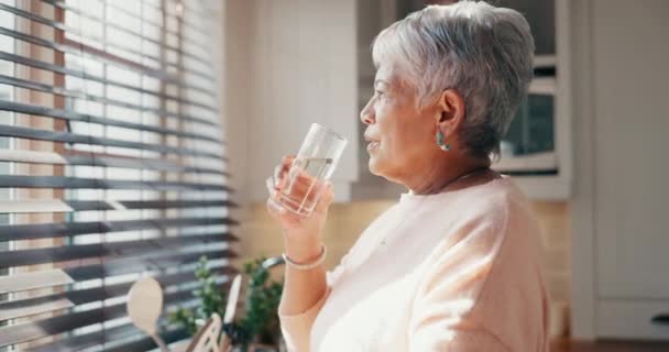 Senior Woman Drinking Water Morning Kitchen Home Retirement Calm Peace — Stock Video