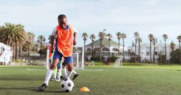 Calcio Calcio Bambini Campo Allenamento Gioco Esercitazione Sportiva Allenamento Esercizio — Video Stock