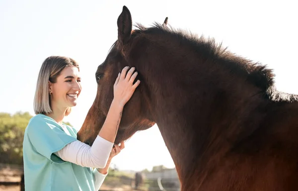 Veterinary, doctor and woman for horse for medical examination, research and health check. Healthcare, nurse and happy person on farm for inspection, wellness and animal care treatment on ranch.