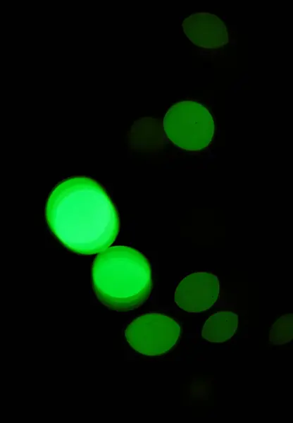 Grünes Licht Bokeh Und Glühen Auf Dunklem Hintergrund Auf Einer — Stockfoto