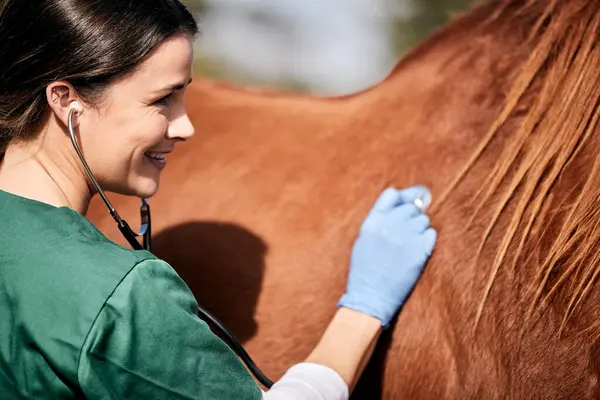 Vet, stethoscope and horse farm with wellness, healthcare and support with animal in countryside. Nurse, woman and helping with heart rate and monitoring outdoor with a smile and happy from nursing.