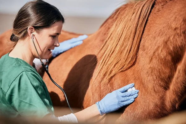 Woman vet, stethoscope and horse farm with wellness, healthcare and support with animal in countryside. Nurse, trust and helping with heart rate and monitoring outdoor with a smile from nursing.