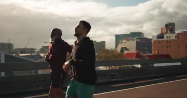 Manhã Alta Cinco Homens Correndo Uma Ponte Cidade Com Fitness — Vídeo de Stock