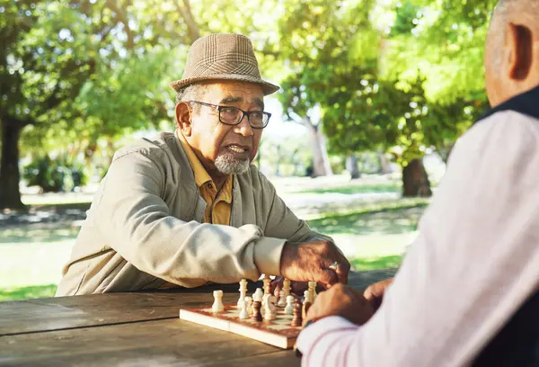 游戏中 户外和资深朋友一起下棋 策略和放松与一项运动 大自然 老年人或退休老人 在公园里的游戏在一个板上竞争 — 图库照片