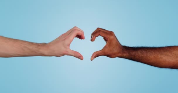 Manos Corazón Amor Firman Con Diversidad Apoyo Voto Gesto Emoji — Vídeos de Stock