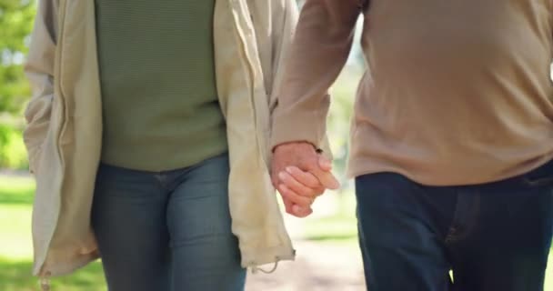 Amor Casal Mãos Dadas Caminhando Parque Cuidado Confiança Juntos Jardim — Vídeo de Stock