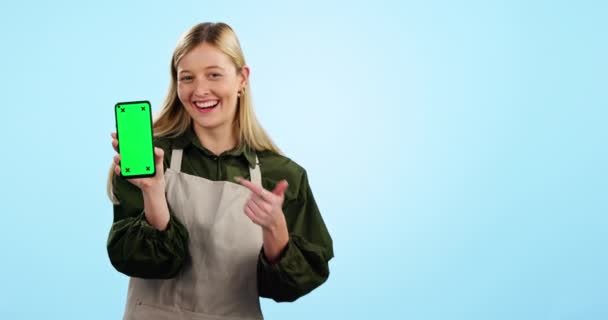 快乐的女人 电话和指出与绿色屏幕在广告蓝色工作室背景的模型 展示移动智能手机显示屏或咖啡店应用程序的小业主或女服务员的肖像 — 图库视频影像