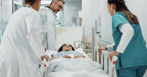 Medici Pazienti Persone Spingono Letto Ospedale Consultandosi Parlando Assistenza Sanitaria — Video Stock