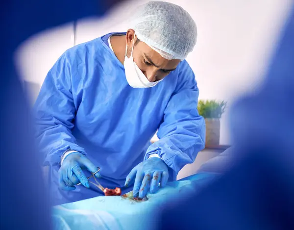 急诊室 外科及医生小组在医院为器官移植 治疗或康复解剖学进行紧急手术 医疗和专业外科医生或医疗保健团队合作 — 图库照片