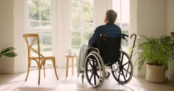 ウィンドウ うつ病 精神衛生による介護施設で 車椅子 悲しい 障害のあるシニアの人 アイデアと退職後の家で孤独 記憶や夢を覚えています — ストック動画