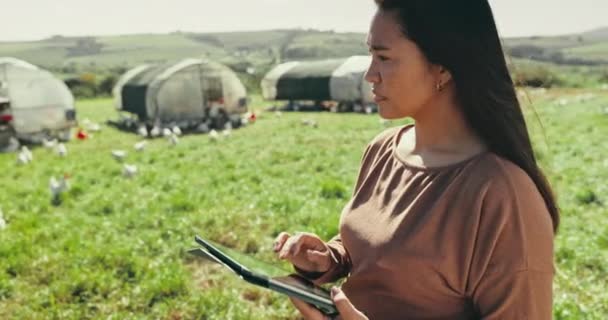 Pensamento Sustentabilidade Uma Mulher Com Tablet Para Agricultura Pesquisa Informação — Vídeo de Stock