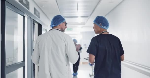 Soins Santé Conversation Médecins Dans Lobby Hôpital Pour Des Conseils — Video