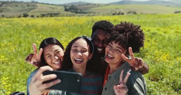 Selfie Przyjaciele Znak Pokoju Grupą Młodych Ludzi Świeżym Powietrzu Przyrodzie — Wideo stockowe