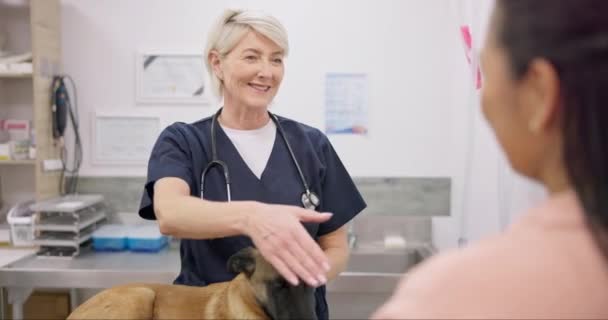 兽医握手 狗或快乐的女人 成熟的医生和问候者 欢迎或感谢你治疗动物 宠物护理服务 兽医欢迎或医护人员与诊所客户握手 — 图库视频影像
