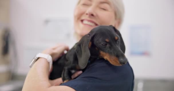 笑一个抱着和小狗 带着一个老妇人兽医在动物诊所里进行医疗保健或治疗 宠物狗 爱情和快乐的老年医学专业人员一边爱抚着狗 一边当兽医 — 图库视频影像