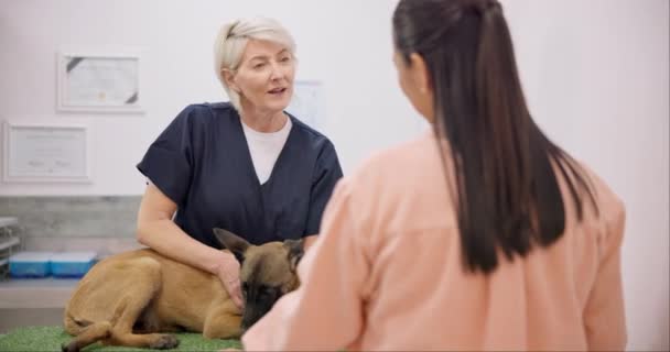 Ветеринар Собака Зріла Жінка Розмовляють Консультують Консультують Питань Медичної Підтримки — стокове відео