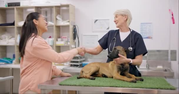 ベットハンドシェイク 犬と幸せな女性 成熟した医師または医学の専門家の笑顔 こんにちはまたは癒しの動物に感謝します ペットケアサービス 獣医コンサルテーション 獣医師シェイクハンド — ストック動画