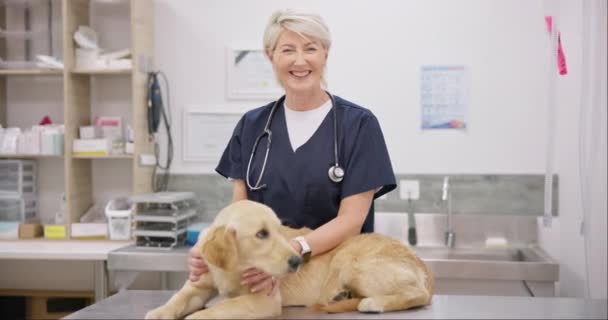 Lächeln Hund Und Tierarzt Mit Stethoskop Einer Klinik Zur Untersuchung — Stockvideo
