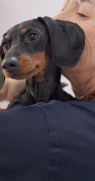 Tvář Úsměv Pes Starou Veterinářkou Zvířecí Klinice Pro Zdravotní Péči — Stock video