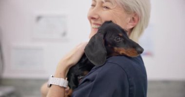 Sağlık ve tedavi için hayvan kliniğinde yaşlı bir kadın veterinere sarıl, gülümse ve köpek yavrusu yap. Sevgi. Kucakla ve mutlu bir kıdemli tıp uzmanı bir köpekle tıbbi veteriner olarak çalışıyor..