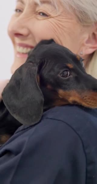 Sağlık Hizmetleri Yardım Tedavi Için Veteriner Hayvan Kliniğinde Sarıl Köpek — Stok video