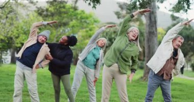 Yoga sınıfı, park ve yaşlılar grubu sağlık ve sağlık eğitimi için birlikte antrenman yapıyorlar. Barış, denge ve yaşlılar ya da arkadaşlar dışarıda spor yapıyor ya da vücut geliştirme için esniyor.
