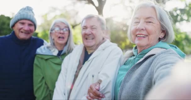 Natura Selfie Viso Anziani Amici Felici Legano Insieme Cura Memoria — Video Stock