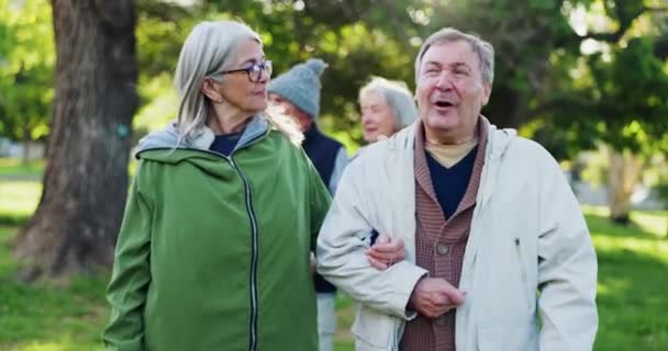 公园散步 交流和老夫老妻都指向自然景观 森林树木 一起旅行 享受退休生活 谈话和老年男子 老年妇女或结婚人士外出旅行 — 图库视频影像