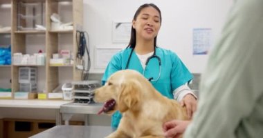 Köpek, mutlu kadın ve veteriner konsültasyonda el sıkışıyor, tıbbi tavsiyeler ve hayvan bakımı hizmeti. Bayan veteriner, hasta Labrador köpeği olan ve hayvan kliniğinde profesyonel yardım alan kişi..