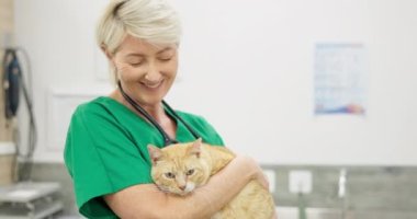 Veteriner, doktor ve kedi, sıhhat, tıbbi değerlendirme ve sağlık kontrolü için sarılıp yatıyorlar. Hastane veya klinikte hayvan, kadın ve sağlık, hastalık veya aşı danışmanlığı.