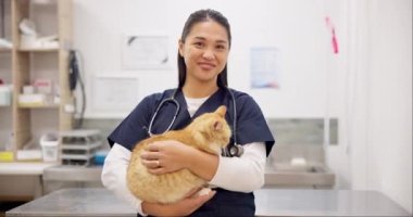 Yüzü, veterineri ve evcil kedisi olan mutlu bir kadın. Veterinerlik, kedicik ve Asyalı tıp uzmanlarının portresi, doktor ve veteriner çalışanları, sağlık ve hayvan bakımı.