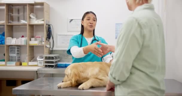Pies Szczęśliwa Kobieta Weterynarz Uściskiem Dłoni Podczas Konsultacji Porady Lekarskiej — Wideo stockowe