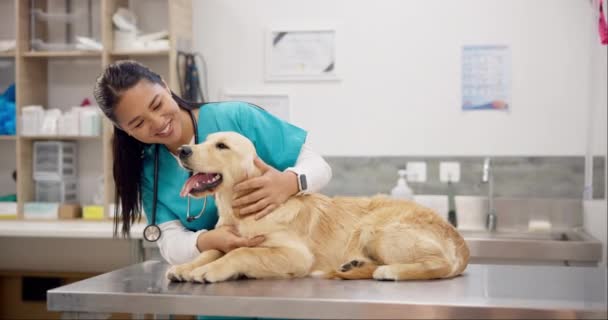 Frau Tierarzt Und Glücklicher Hund Auf Dem Tisch Für Beratung — Stockvideo