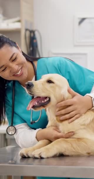 狗和快乐的女性宠物在医疗诊所进行护理 玩耍和触摸 动物和医疗专业人员 带着拉布拉多犬住院 健康检查或健康咨询 — 图库视频影像