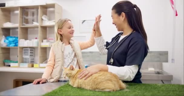 猫獣医 子供または幸せな女性 医療検査 ウェルネスサポート ヘルスケアのための5 お祝いと笑顔 ベット 子供は動物の癒し ペットの健康と医学の成功を祝います — ストック動画