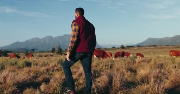 Tarım Çiftlik Sığırları Olan Insanlar Yürüme Sürdürülebilirlik Ile Dağlar Çevre — Stok video