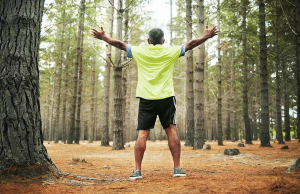 Powrót Las Seniora Uroczystości Ćwiczeń Osiągnięć Wyzwaniem Postępu Wellness Świeże — Zdjęcie stockowe