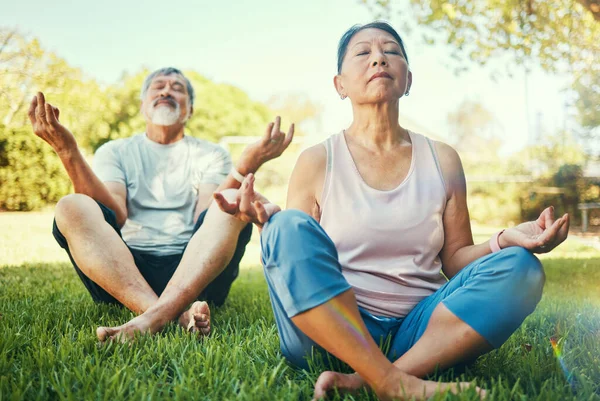 Couple, yoga and lotus meditation on grass in nature at park for mindfulness, peace or calm. Mature man, woman and yogi meditate in holistic exercise, wellness or zen to relax for body health outdoor.