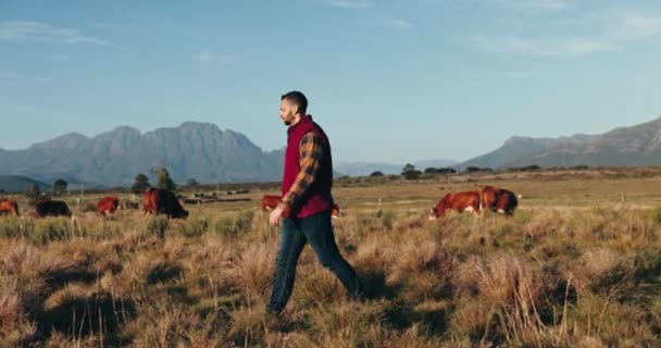 Sürdürülebilirlik Çiftlik Sığırları Olan Insanlar Yürüyüş Dağları Çevresi Manzarası Olan — Stok video
