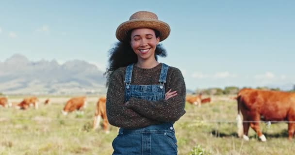 持続可能性 ミルク産業のための牛と畑で交差した腕を持つ農民 生産および幸福のための家畜が付いている農場 人または田舎 — ストック動画