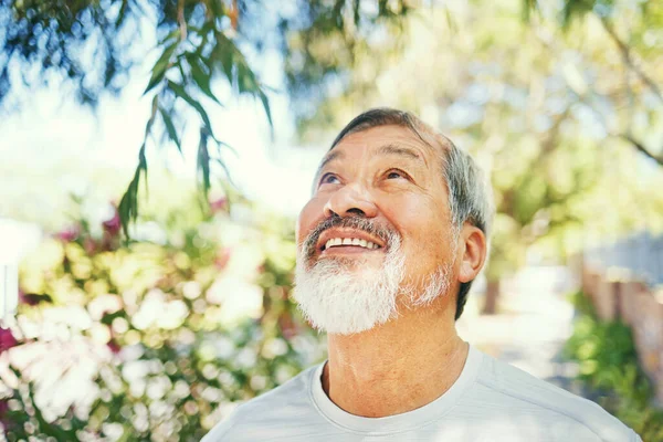 Smile, calm and senior man in nature breathing for fresh air, peaceful or mindful attitude in a garden. Happy, wellness and elderly Asian male person standing in an outdoor park or field in summer