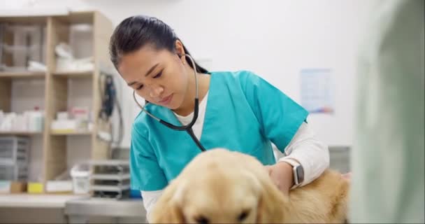 医療アドバイス ペットケアのためのテーブルの上の歯科診療所 動物クリニック 犬を持つ女性 獣医の女性獣医 病気のラボラドールの子犬および獣医病院の専門の医療を持つ人 — ストック動画