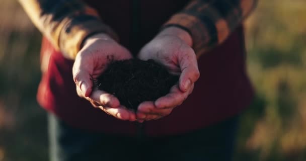 Zemědělství Ruce Kontrola Půdy Nebo Nečistot Zemědělství Hnojiva Přírodní Výživy — Stock video