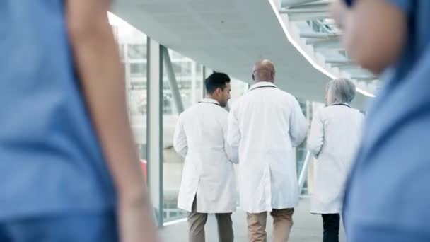 Teamwork Gehen Oder Ärzte Die Über Ergebnisse Sprechen Krankenpflege Oder — Stockvideo