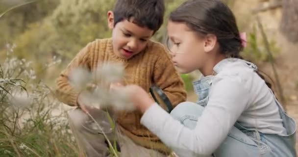 Upptäckt Natur Och Barn Utforska Berget För Äventyr Tillsammans Förstora — Stockvideo