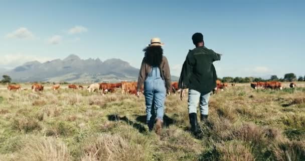 农场和人们一起走在可持续的农业用地上 规划有机耕作 农村生产 畜牧和工人作为团队合作的性质 — 图库视频影像