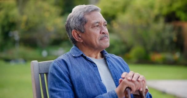 Tænker Have Senior Mand Med Stok Slappe Pensionering Baghave Græsplæne – Stock-video