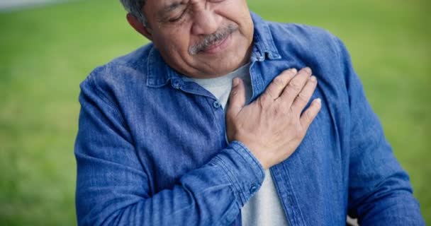 胸の痛み 医学的緊急事態 心臓発作のシニアマンは屋外で症状を呈する 心臓バーン 心臓血管の問題または問題を抱えた自然の医療 退職および高齢者 — ストック動画