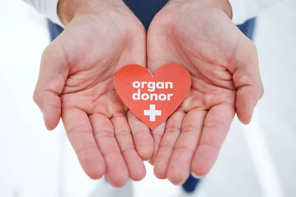 Doctor, hands and transplant for organ donor, support and good deed for healthcare, medical service and work. Nurse, hospital and charity for help, heart and sign for medicare, compassion or donation.